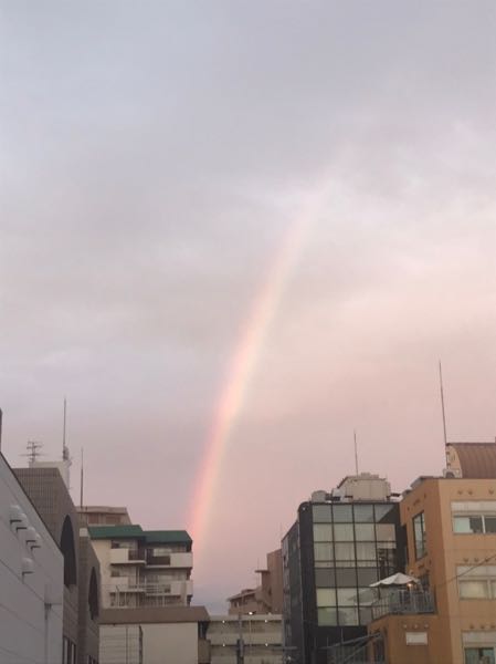 雨上がりの虹❣️